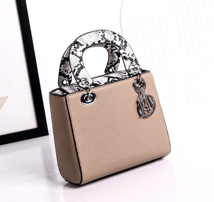 شنطة Dior حريمي
